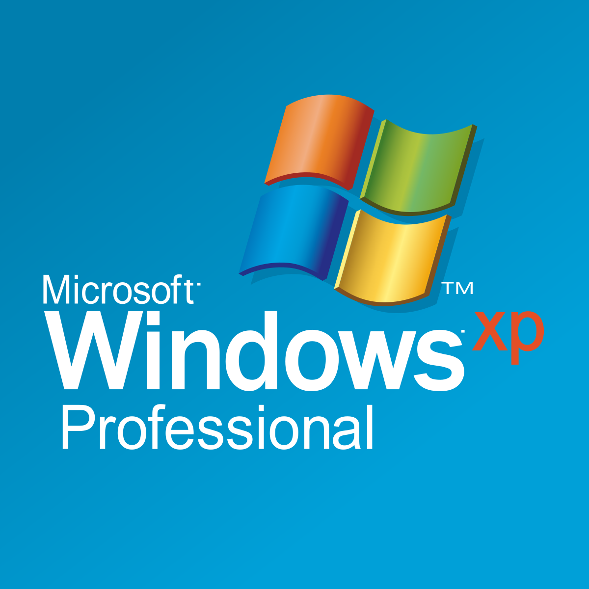 windows xp pro logo