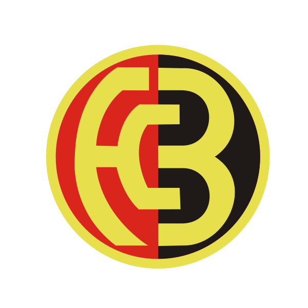 Datei:FCBernLogo.svg