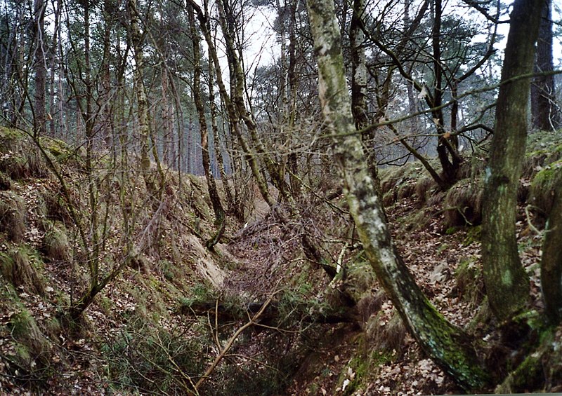 Datei:Pzgraben de meinweg.jpg