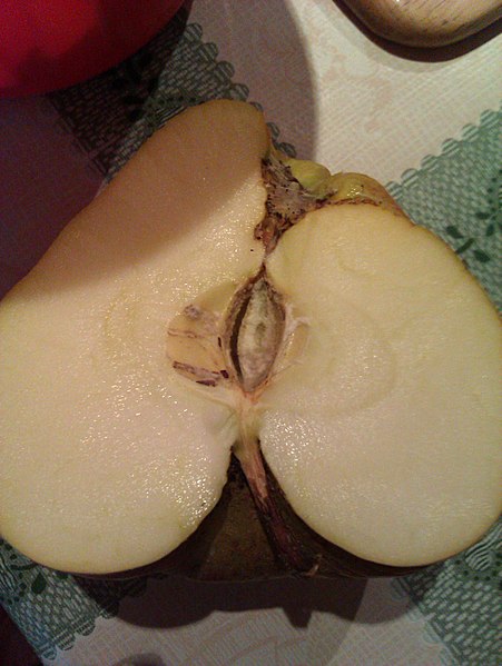 Datei:Unbekannter Apfel 2012.jpg