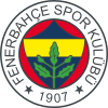 Fenerbahçe Istanbul (Pokalfinalist)