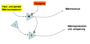 Fieber: Etymologie, Temperaturregulation, Evolution