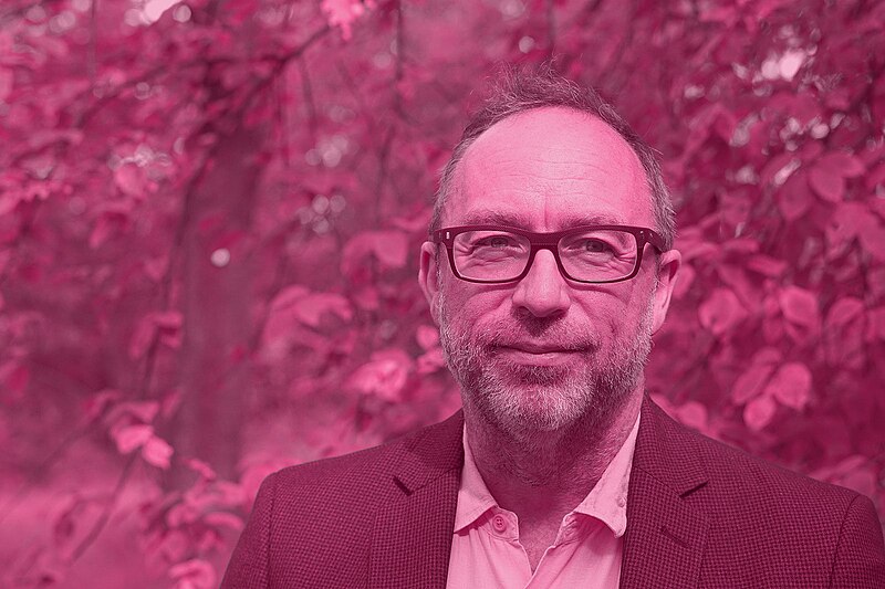 File:JimmyWales pinkhue.jpg