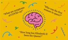 Brain-questions.png