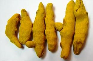 ފައިލު:Turmeric jpg.jpg