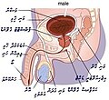 Thumbnail for version as of 19:23, 1 ޖުލައި 2007