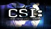 Μικρογραφία για το CSI: Λας Βέγκας