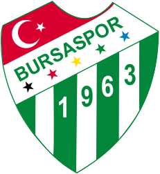 Αρχείο:Bursaspor logo.svg