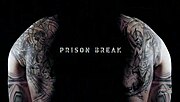 Μικρογραφία για το Prison Break