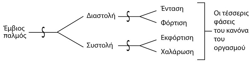 Αρχείο:ΕΞΙΣΩΣΗ ΚΑΝΟΝΑΣ ΟΡΓΑΣΜΟΥ.jpg