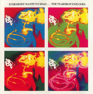 <i>Everybody Wants to Shag... The Teardrop Explodes</i> 1990 studio album by The Teardrop Explodes