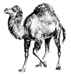 The Camel symbol used by O'Reilly Media Perl-camel-small.png
