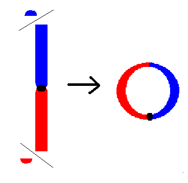 Кольцевая хромосома 1