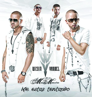 <span class="mw-page-title-main">Me Estás Tentando</span> 2008 single by DJ Nesty featuring Wisin & Yandel