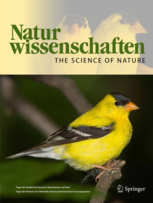 File:Naturwissenschaften.jpg