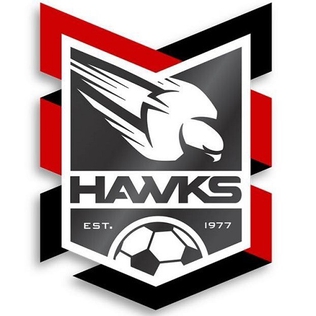 <span class="mw-page-title-main">Holland Park Hawks FC</span> Football club