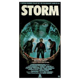 <i>Storm</i> (1987 film) 1987 Canadian film