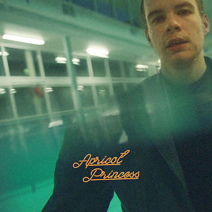 <i>Apricot Princess</i> 2017 studio album by Rex Orange County