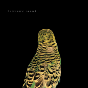 <i>Armchair Apocrypha</i> 2007 studio album by Andrew Bird