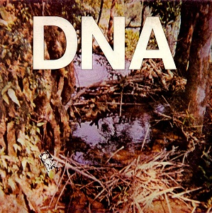 <i>A Taste of DNA</i> 1981 EP by DNA