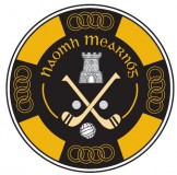 Логотип NM 2.jpg