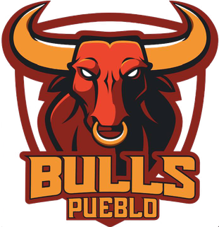 <span class="mw-page-title-main">Pueblo Bulls</span> Ice hockey team in Pueblo, Colorado