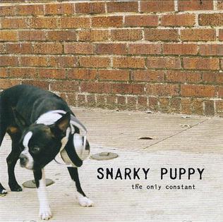<i>The Only Constant</i> 2006 studio album by Snarky Puppy