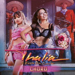 <span class="mw-page-title-main">Choro (song)</span> Thalía song
