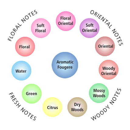 Fragrance Wheel Perfume Classification Chart