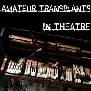 <i>In Theatre</i> 2009 live album by Amateur Transplants