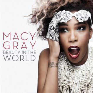 <span class="mw-page-title-main">Beauty in the World</span> 2010 single by Macy Gray