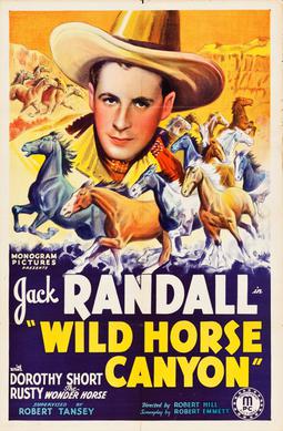 <i>Wild Horse Canyon</i> 1938 film