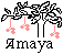 File:Amaya.gif