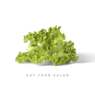 <span class="mw-page-title-main">Eat Your Salad</span> 2022 single by Citi Zēni