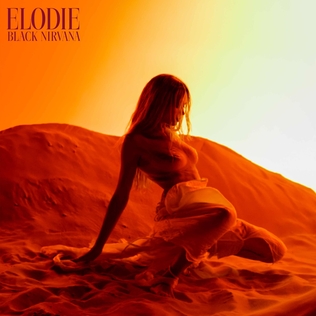 <span class="mw-page-title-main">Black Nirvana</span> 2024 single by Elodie