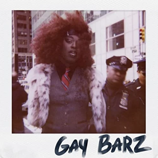 File:Gay Barz.png