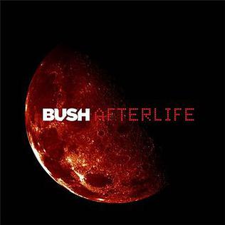 Bush - The Afterlife (2012)