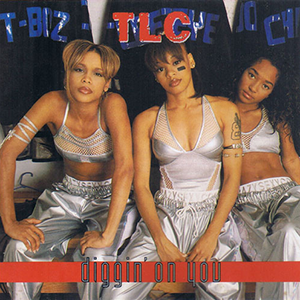 <span class="mw-page-title-main">Diggin' on You</span> 1995 single by TLC