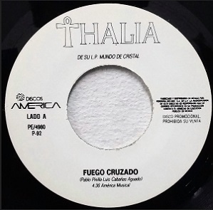 <span class="mw-page-title-main">Fuego Cruzado</span> 1991 song by Thalía