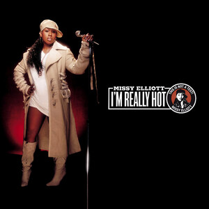 Im Really Hot 2004 single by Missy Elliott