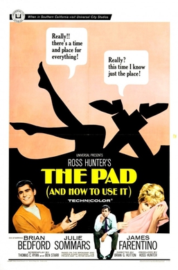 <i>The Pad and How to Use It</i> 1966 film by Brian G. Hutton