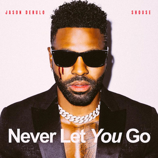 <span class="mw-page-title-main">Never Let You Go (Jason Derulo and Shouse song)</span> 2022 single by Jason Derulo and Shouse