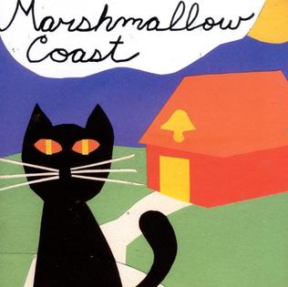 <i>Seniors & Juniors</i> 1999 studio album by Marshmallow Coast