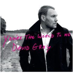 Youre the World to Me 2007 single by David Gray
