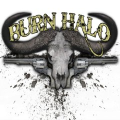 <i>Burn Halo</i> (album) 2009 studio album by Burn Halo