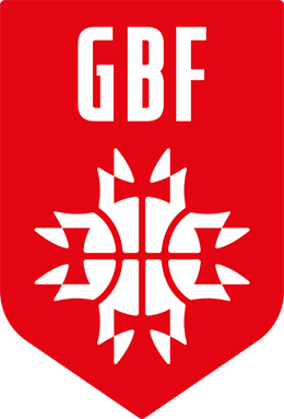 Georgia men's national basketball team