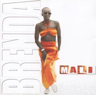 <i>Mali</i> (album) 2003 studio album by Brenda Fassie
