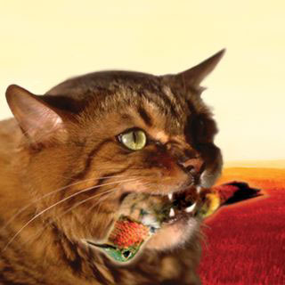 File:Meowstro Sings.jpg