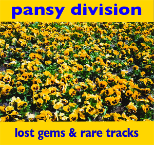 <i>Lost Gems & Rare Tracks</i> 2010 compilation album by Pansy Division