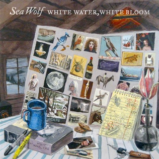 <i>White Water, White Bloom</i> 2009 studio album by Sea Wolf